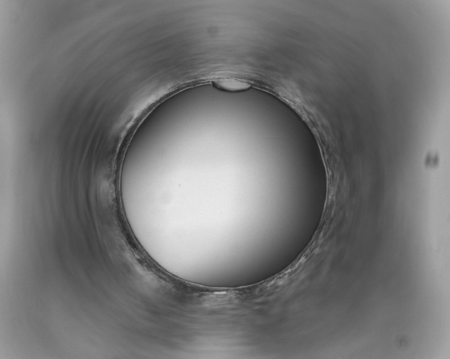 X0000090420050200707272119