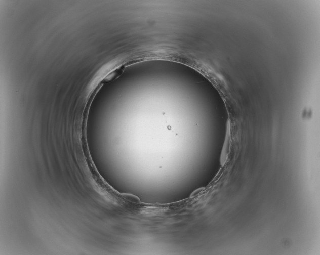 X0000090420051200707272119