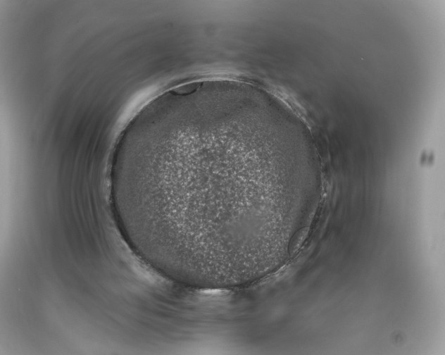 X0000090420053200707272119