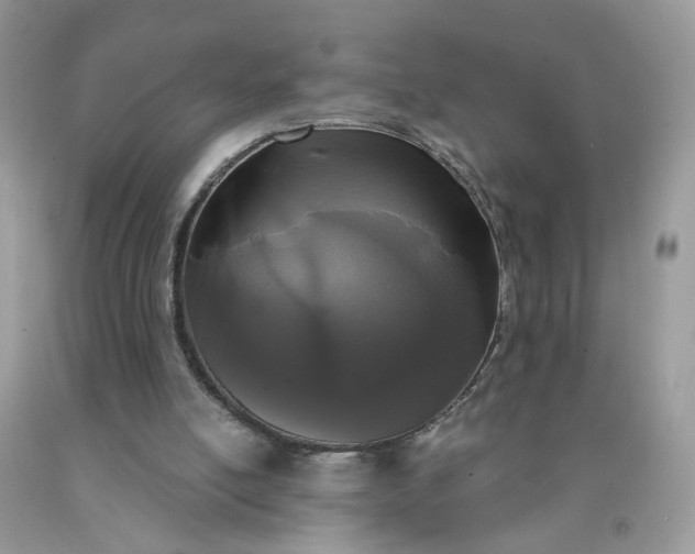 X0000090420054200707272119