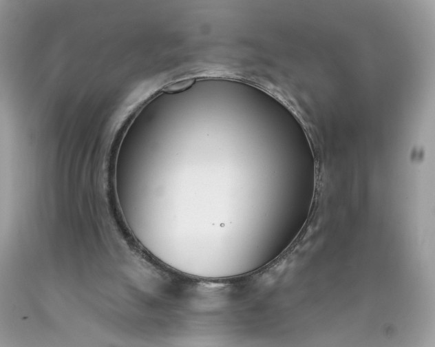 X0000090420055200707272119