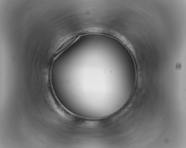 X0000090420057200707272119