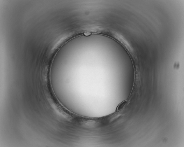 X0000090420058200707272119