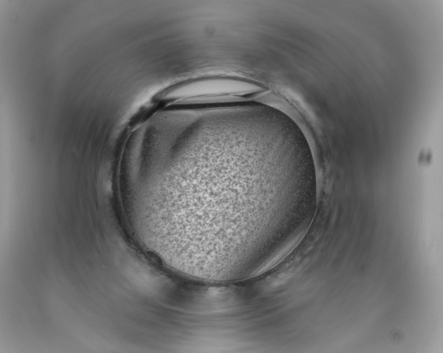 X0000090420060200707272119