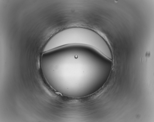 X0000090420061200707272119