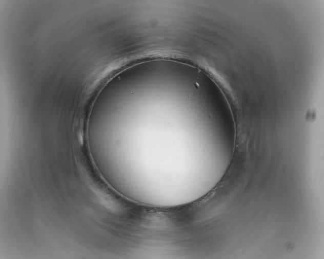 X0000090420062200707272119