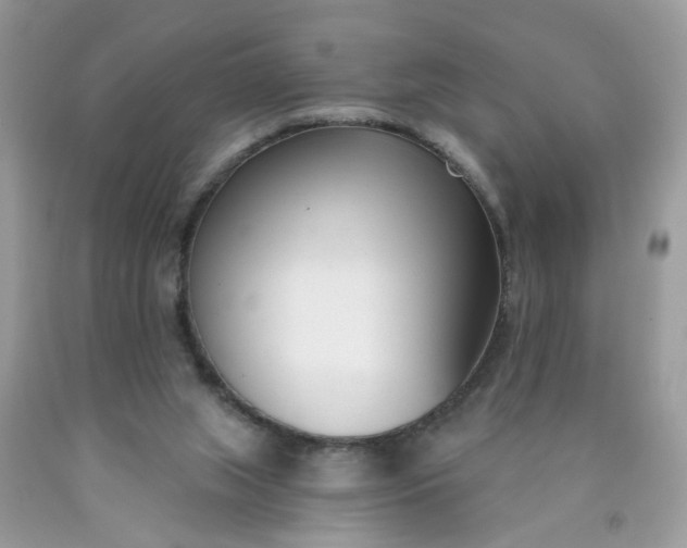 X0000090420063200707272119