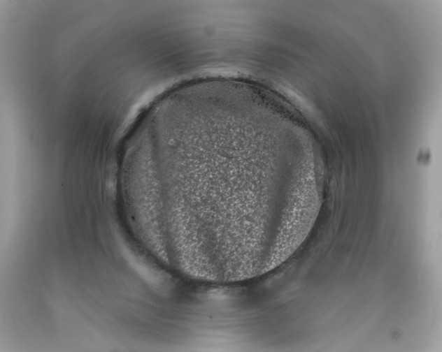 X0000090420064200707272119