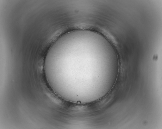 X0000090420065200707272119