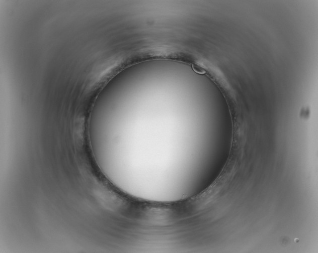 X0000090420066200707272119