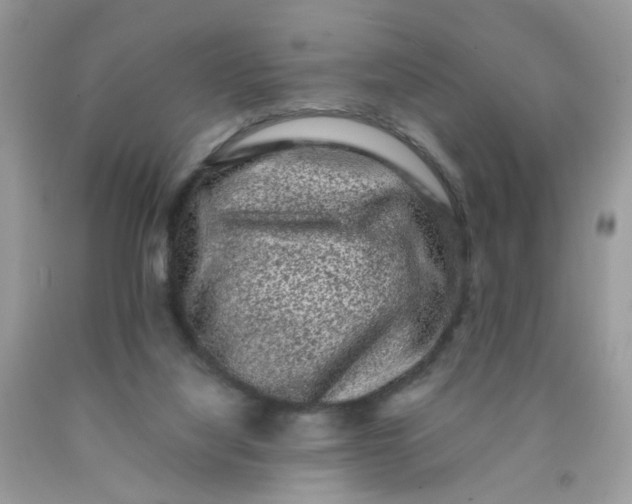 X0000090420068200707272119