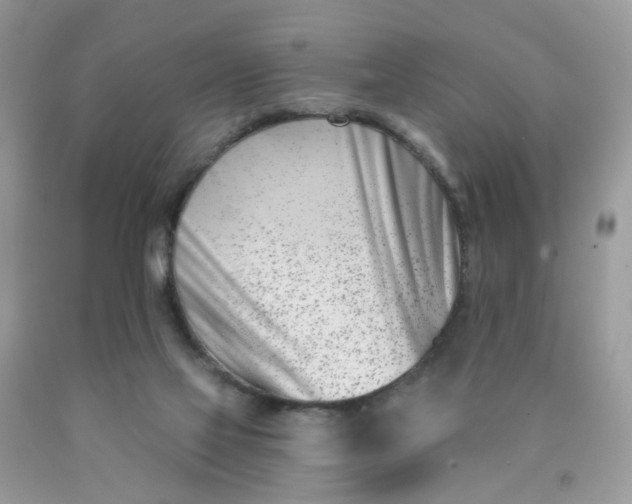 X0000090420069200707272119