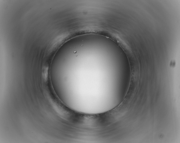 X0000090420070200707272119