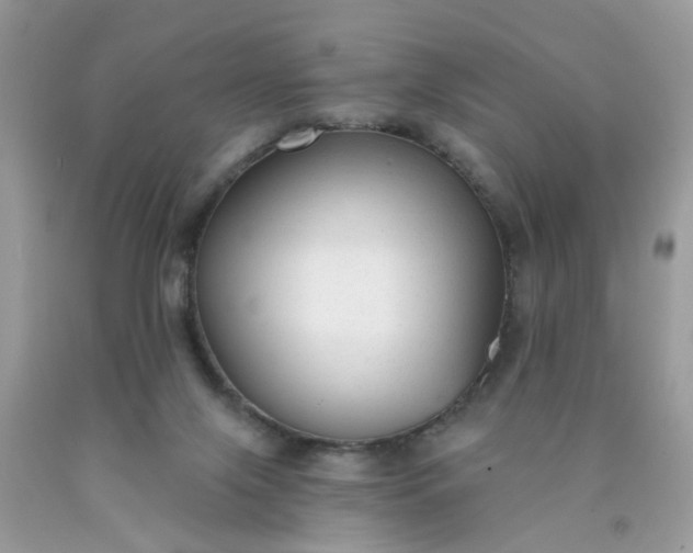 X0000090420071200707272119