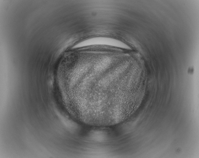 X0000090420072200707272119