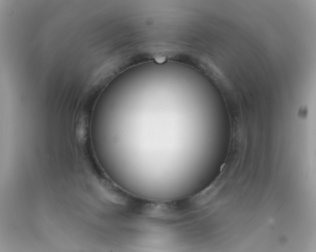 X0000090420074200707272119