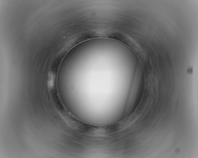 X0000090420075200707272119