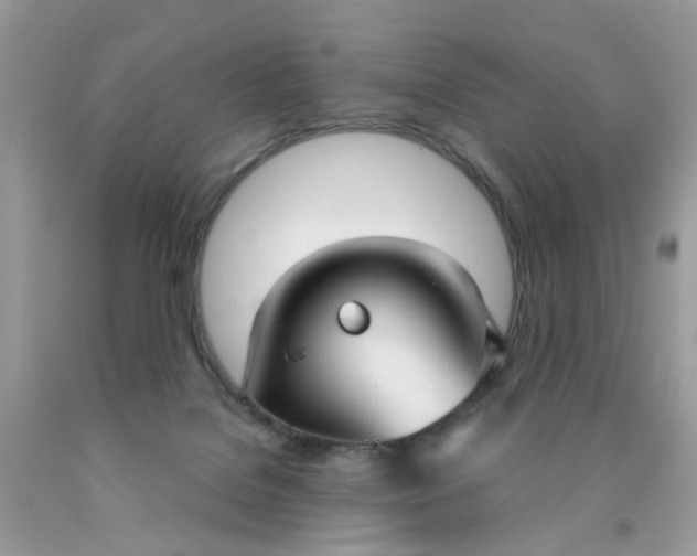 X0000090420076200707272119