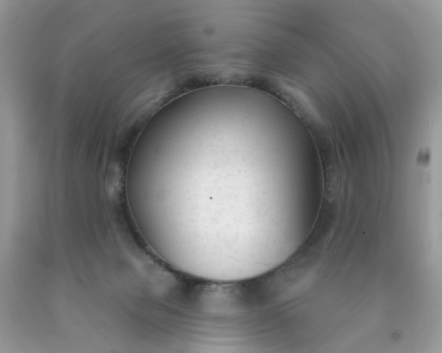 X0000090420077200707272119