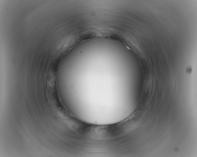 X0000090420078200707272119