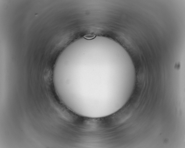 X0000090420079200707272119