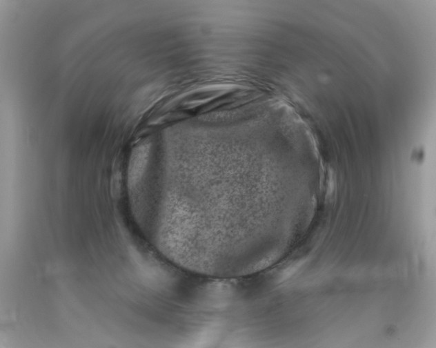 X0000090420080200707272119