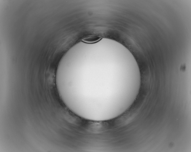 X0000090420083200707272119