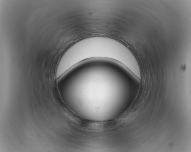 X0000090420084200707272119