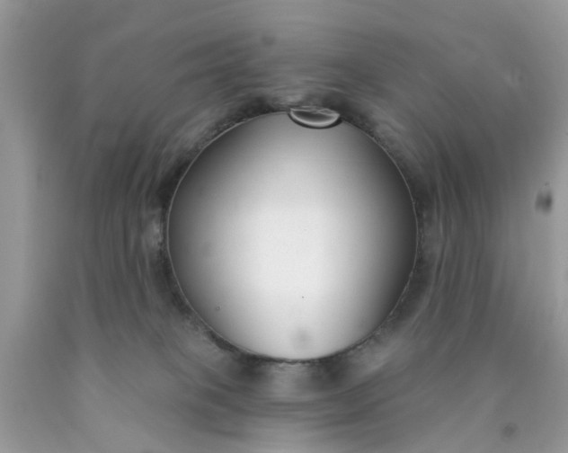 X0000090420085200707272119