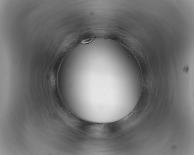 X0000090420086200707272119