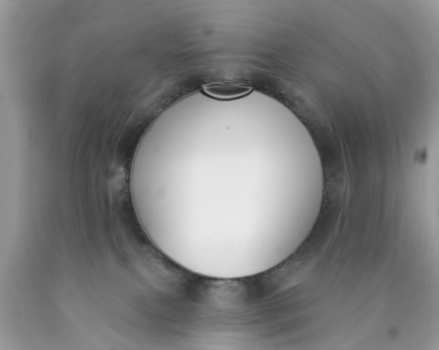 X0000090420087200707272119