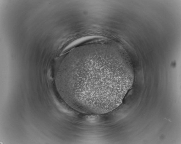 X0000090420088200707272119