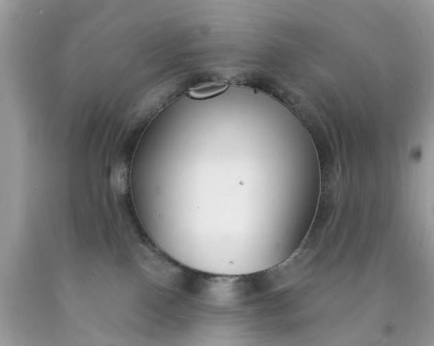 X0000090420090200707272119