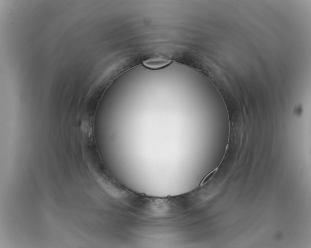 X0000090420091200707272119