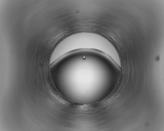 X0000090420092200707272119