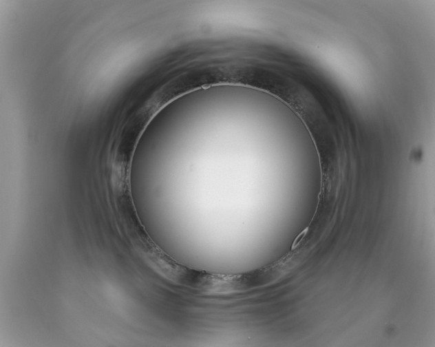 X0000090420093200707272119