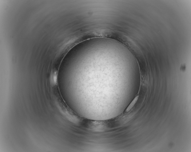 X0000090420095200707272119