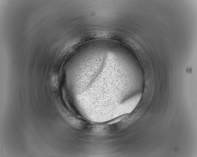 X0000090420096200707272119