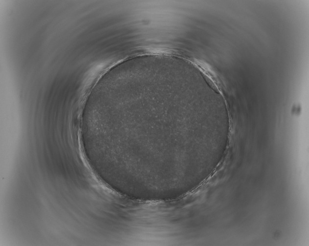 X0000090420097200707272119