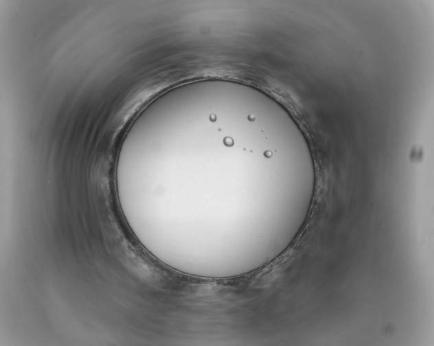 X0000090420098200707272119