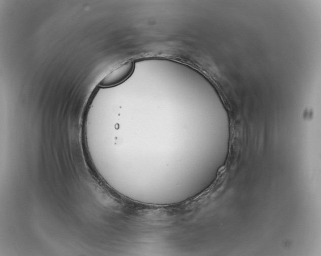 X0000090420100200707272119