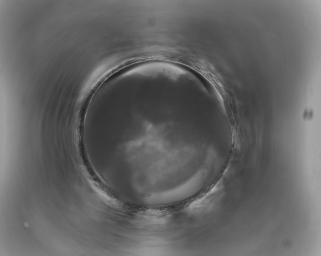 X0000090420101200707272119