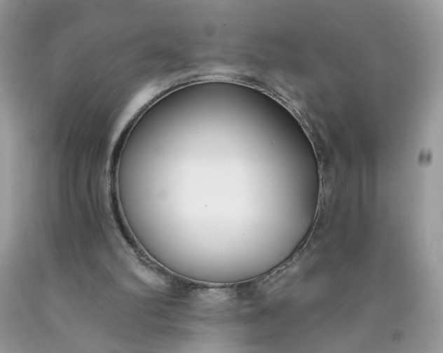 X0000090420102200707272119