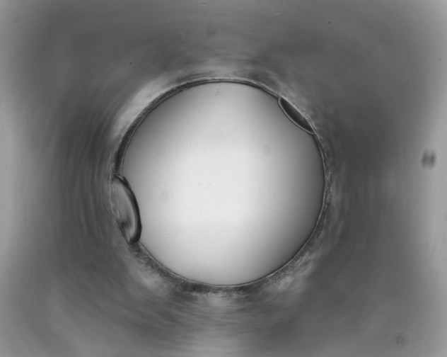 X0000090420103200707272119