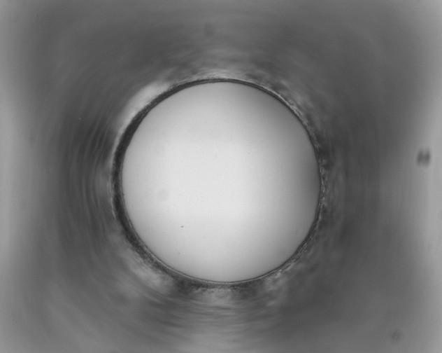 X0000090420104200707272119