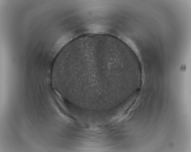 X0000090420105200707272119