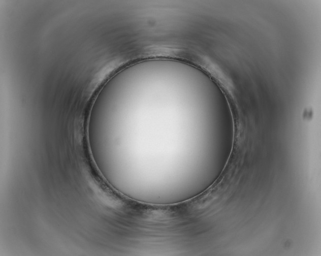 X0000090420107200707272119