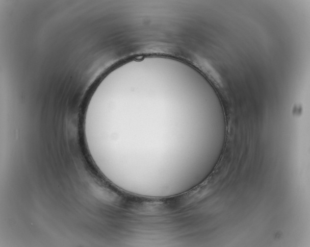 X0000090420108200707272119