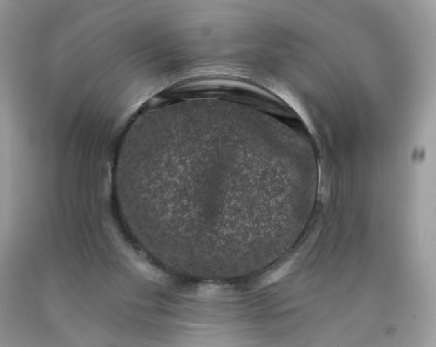 X0000090420109200707272119