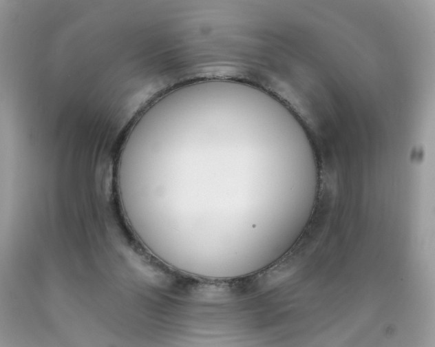 X0000090420110200707272119